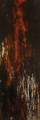70x25 - Galerie 1